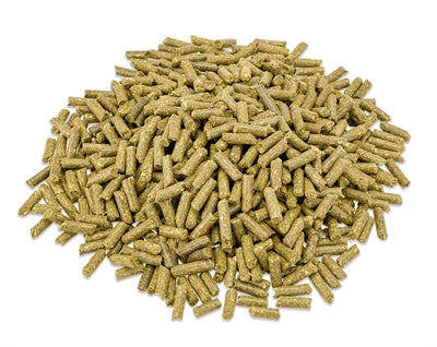 Metazoa Premium-Pferdefutter fitright timothee