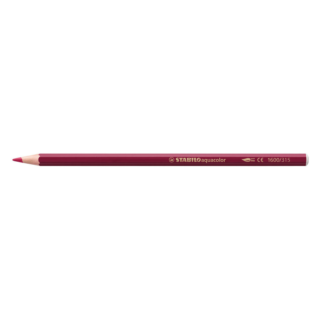 Stabilo aquacolor - premium aquarel kleurpotloden - arty - etui met 36 kleuren