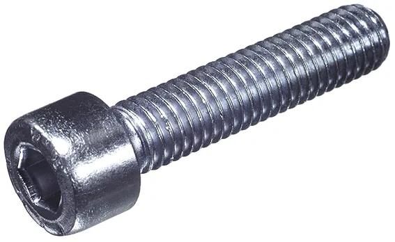 Dresselhaus kaaskopschroef 0300 cylindrical with inner6ct m6x40