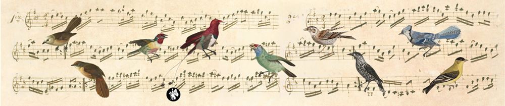 Rondo77 muziekje: notes (ave maria).