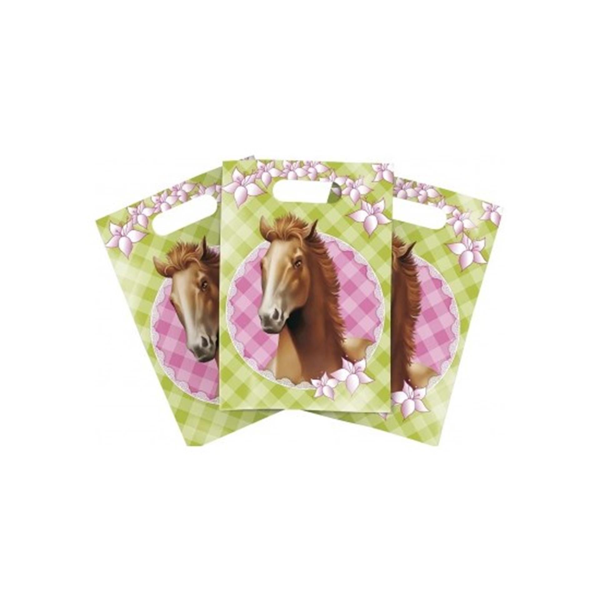 Haza partybags 6st paarden pk 5