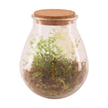 Naturel collections dijk natural collections vaas glas met kunstplant ø19.5x23.5cm