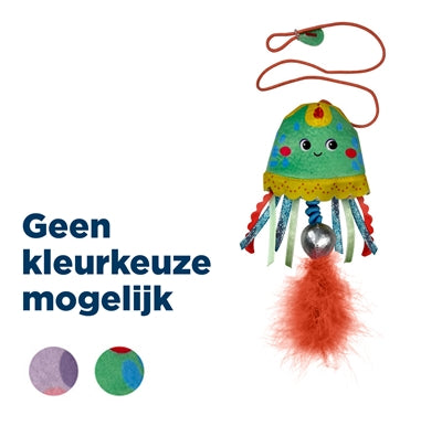 Kong Cat Teaser Quallen, verschiedene Sorten