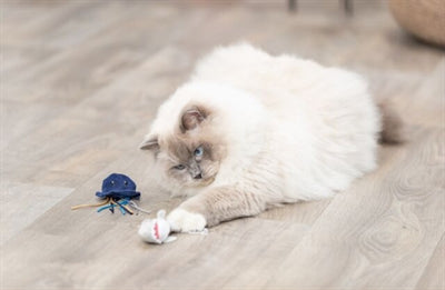 Trixie Meereskreatur-Plüschtier mit Katzenminze, verschiedene Farben