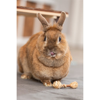 Trixie Hantelset aus Rinde, Holz und Gras