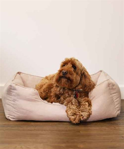 Rosenholz 40 Winks Hundebett dünner Köper beige