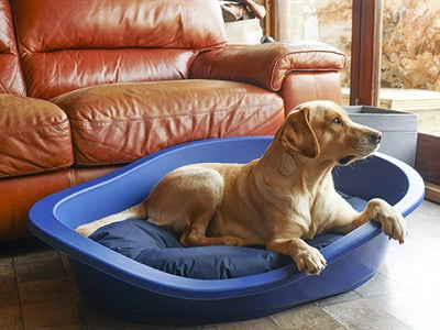 Rosenholz-Hundekissen, robust, schmutzabweisend, oval, grau, marineblau