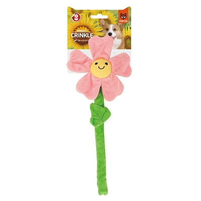 Fofos-Kräuselblume, rosa mit Seilstiel