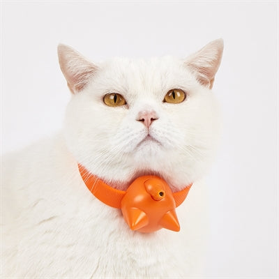 wiederaufladbares Fofos Laserhalsband