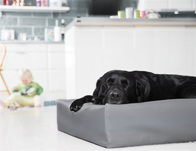 Bia Hundebettbezug aus Kunstleder, grau
