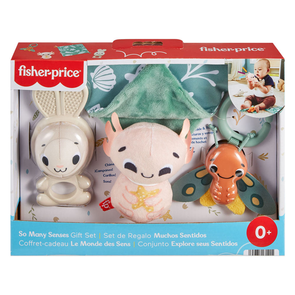 Fisher Price All-Senses Geschenkset