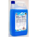 Antivries ruitensproeier gvs 5l
