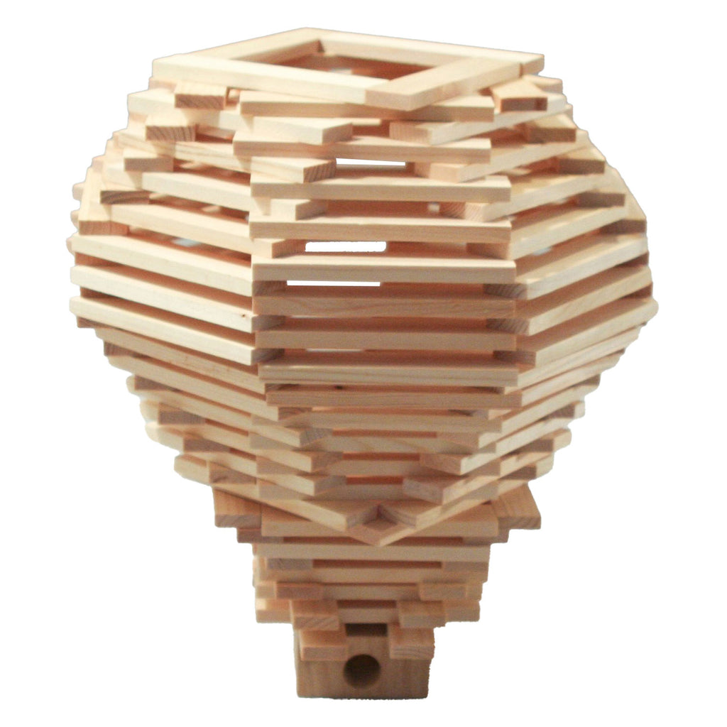 Bblocks houten plankjes in luxe houten kist 500 stuks