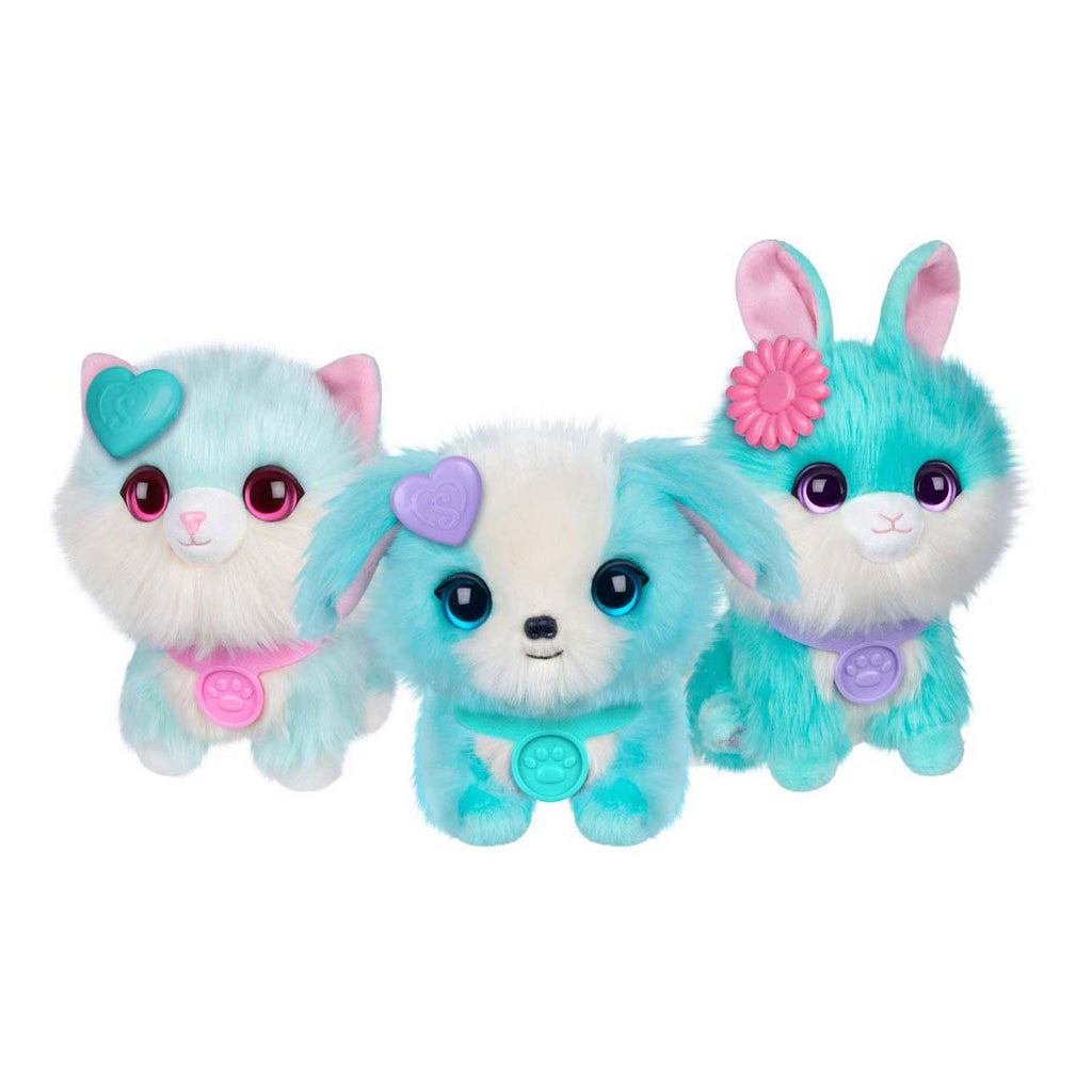 Moose scruff a luvs mystery huisdier blauw