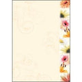 Design papier sigel dp788 kleurenassortiment