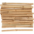 Creativ company stokken van bamboe, 30st.