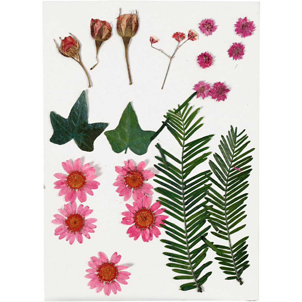 Creativ company gedroogde bloemen en bladeren lichtrood, 19dlg.
