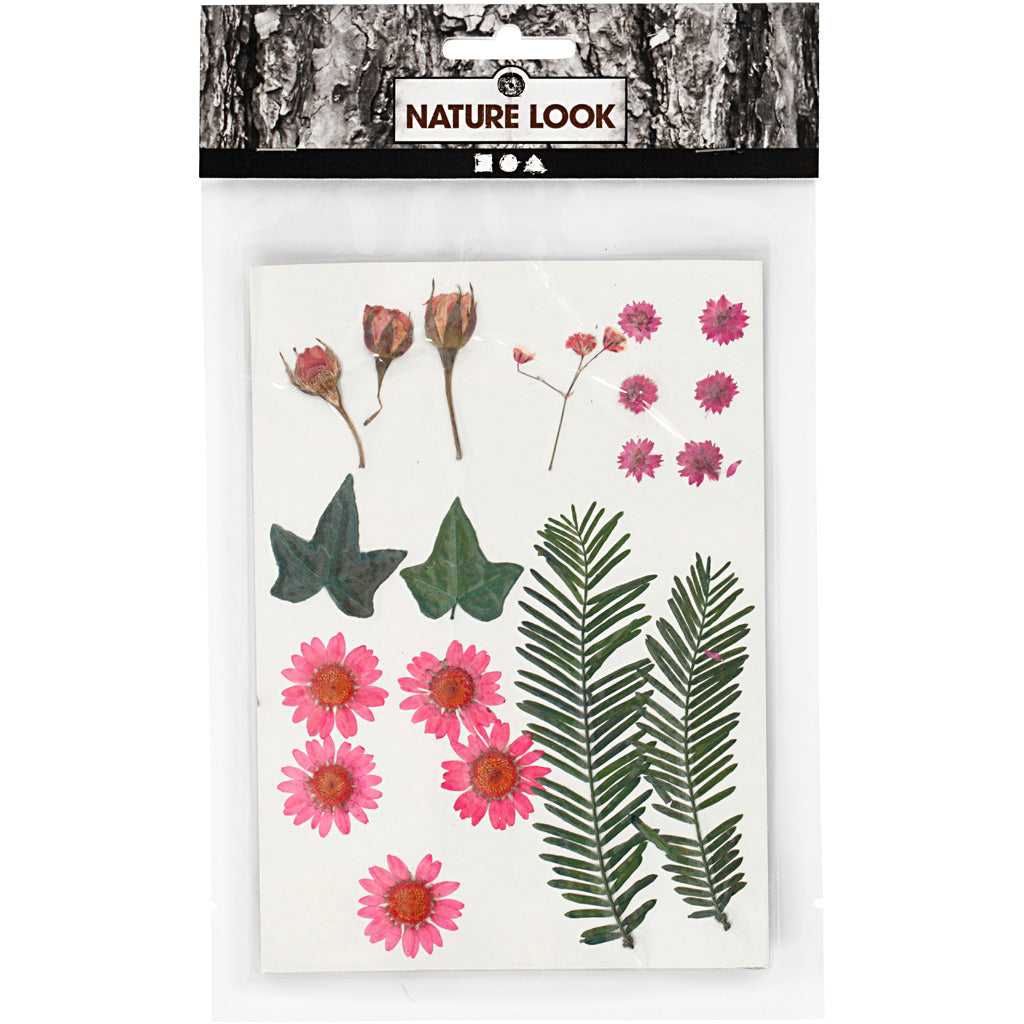 Creativ company gedroogde bloemen en bladeren lichtrood, 19dlg.