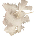 Https: www.cchobby.nl dons-afm-7-8-cm-ca-3750-stuk-wit-500-gr-1-doos