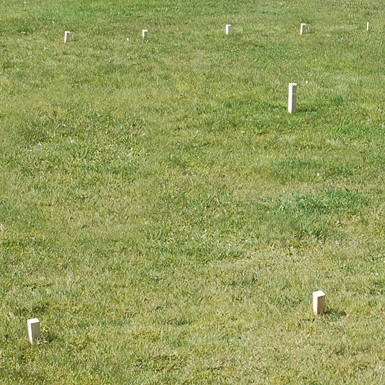 Goki Schachspiel Kubb Wikinger mittel