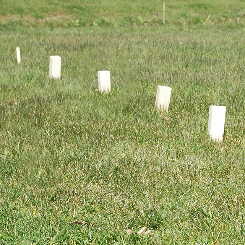 Goki Schachspiel Kubb Wikinger mittel