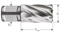 Rotec kernboor hss silver-line 36.0mm sl30 weldon