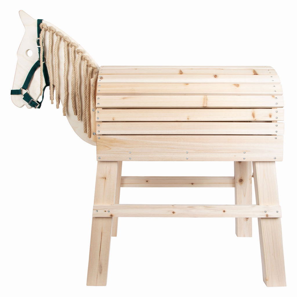 Kleines Fußpferd