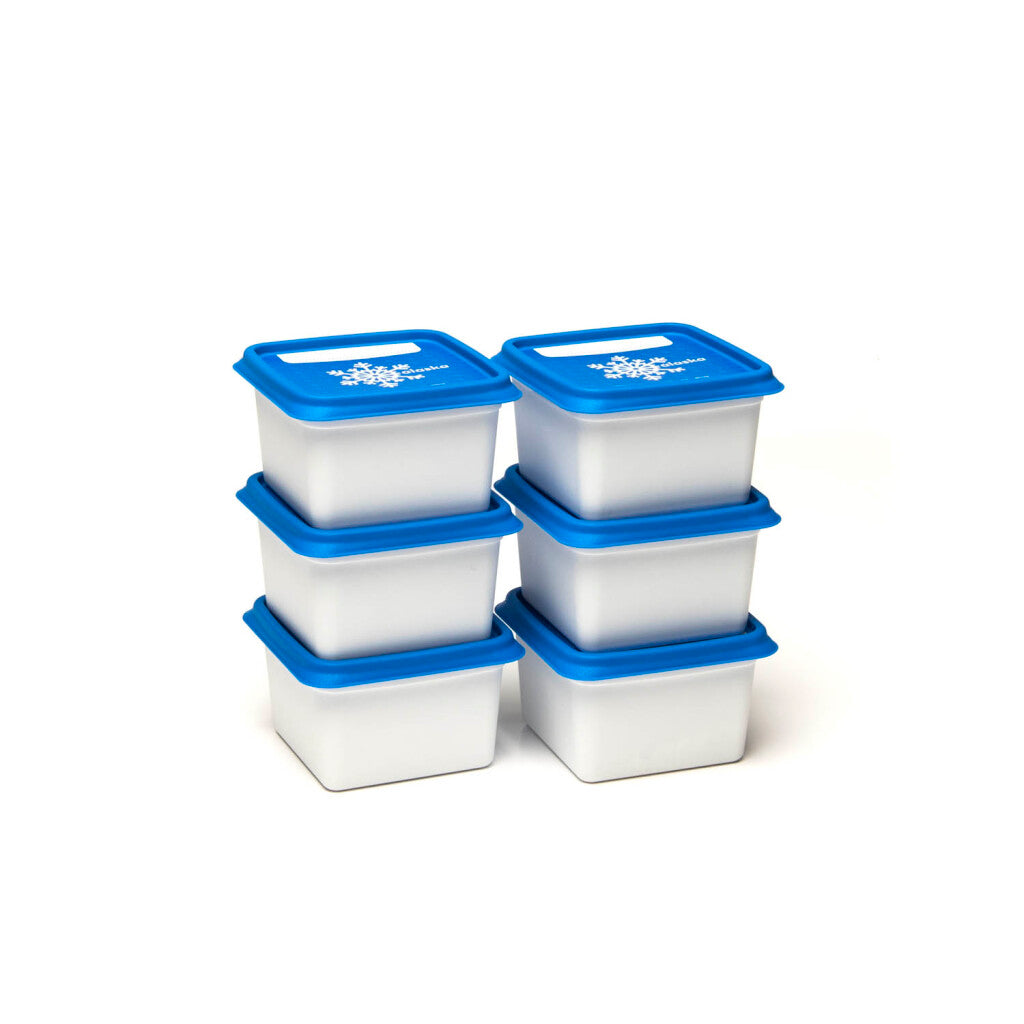 Alaska DBP Gefrierbox 200 ml, 6er-Set