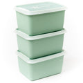 Dbp alaska 3 diepvriesdozen rechthoekig 1.00 l | 2 stuks