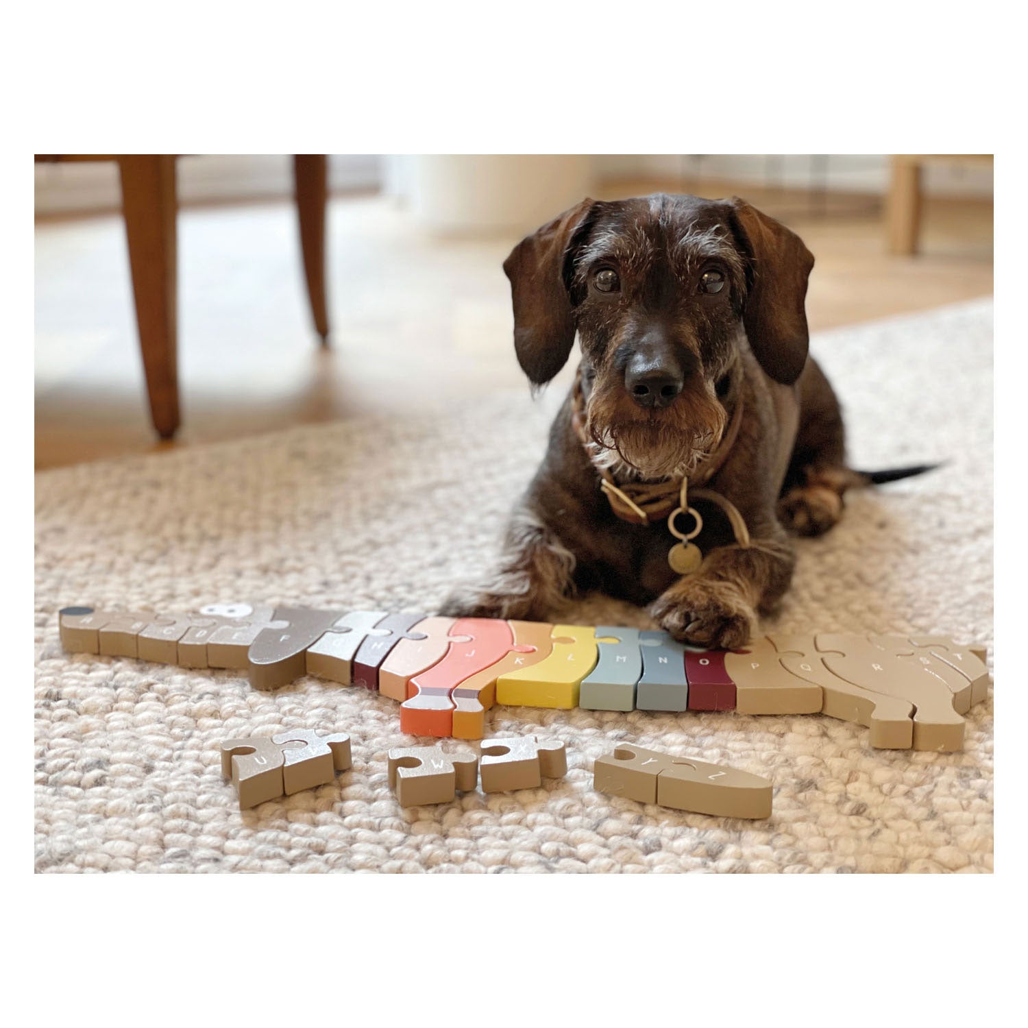 Small Foot - hölzernes Buchstaben- und Formenpuzzle Hund, 26 Teile.