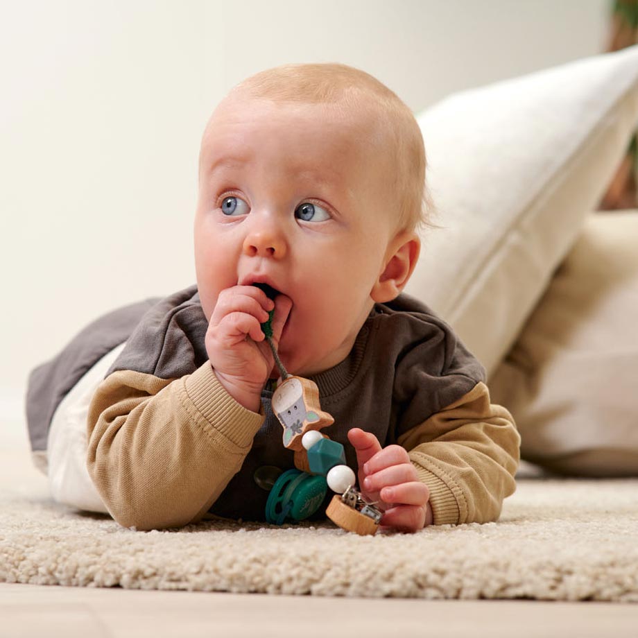 Eichhorn Baby Hipp Schnullerkette Esel