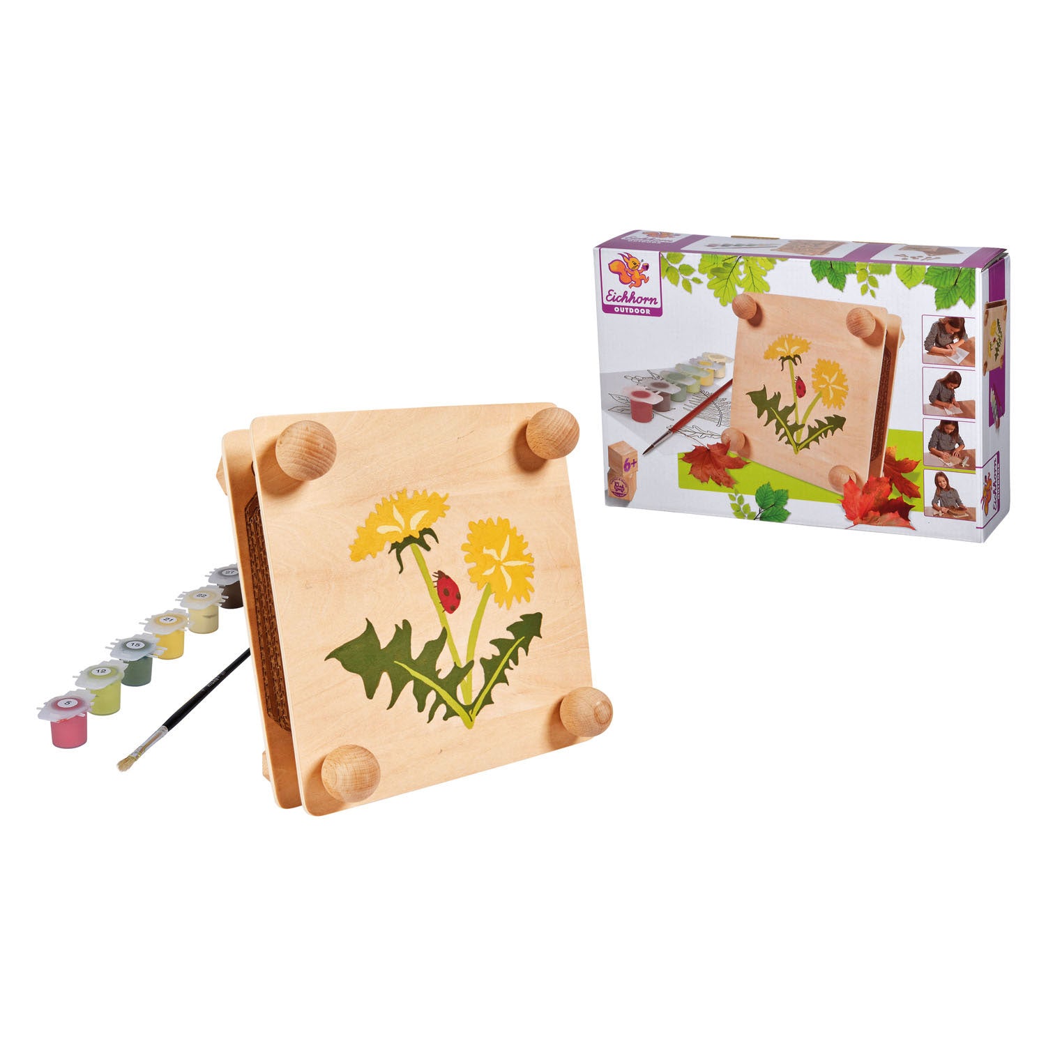 Eichhorn Outdoor-Blätter- und Blumenpressen-Bastelset
