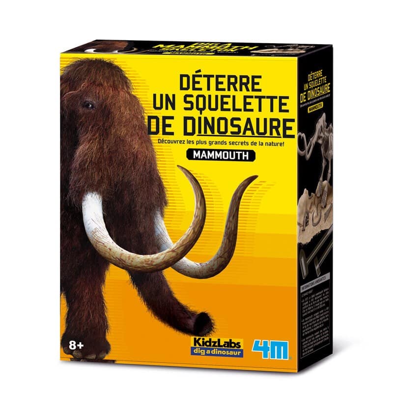 4M Grabe deinen eigenen Dinosaurier in den Mammoth Kidz Labs