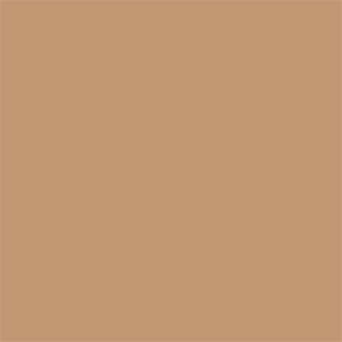Hochwertiges Hintergrundpapier 25 Beige 1,35 x 11 m