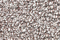 Hq aqua-stop droogloopmat licht beige 50x80cm