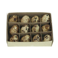 Anna's collection kwartelei 3cm set van 12 stuks in doosje