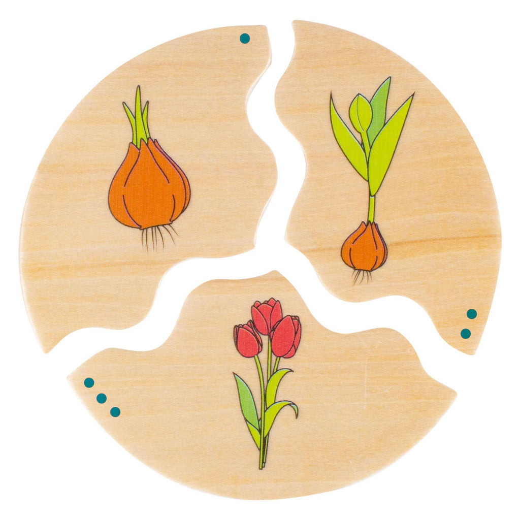 Beleduc nawito Natur Evolution Holzspiel für Kinder