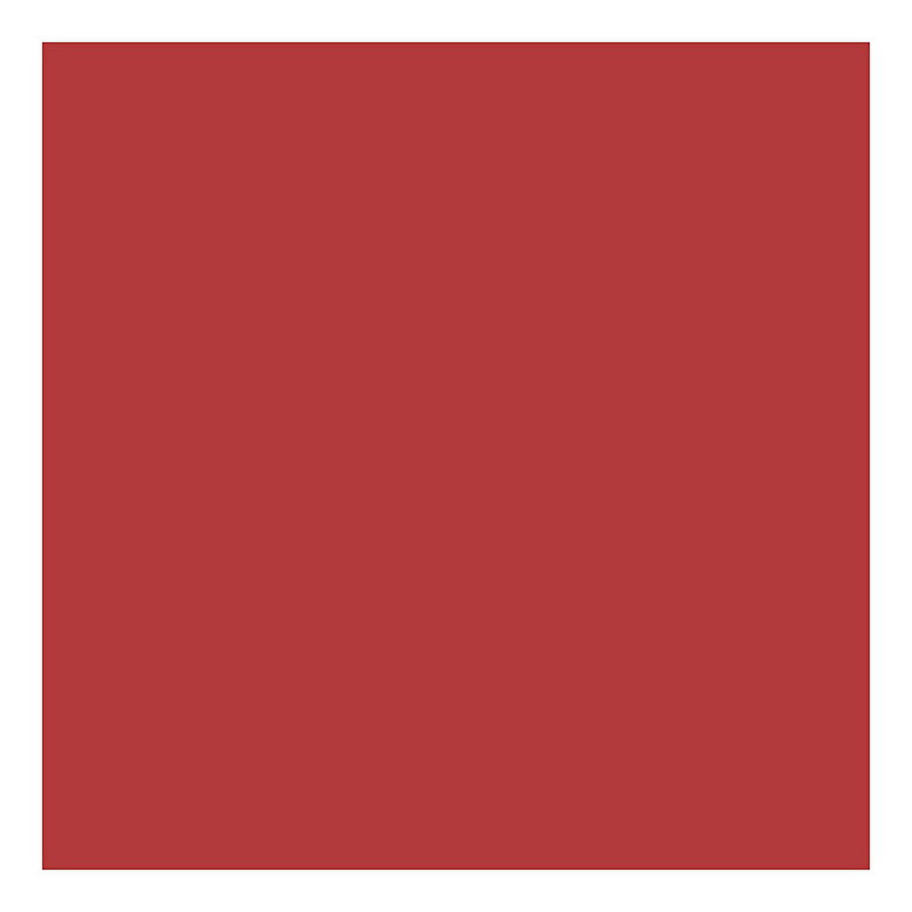 Creativ Company Karton, A4, Blatt 210 x 297 mm, 220 g, rot, 10 Stück, 1 Karton