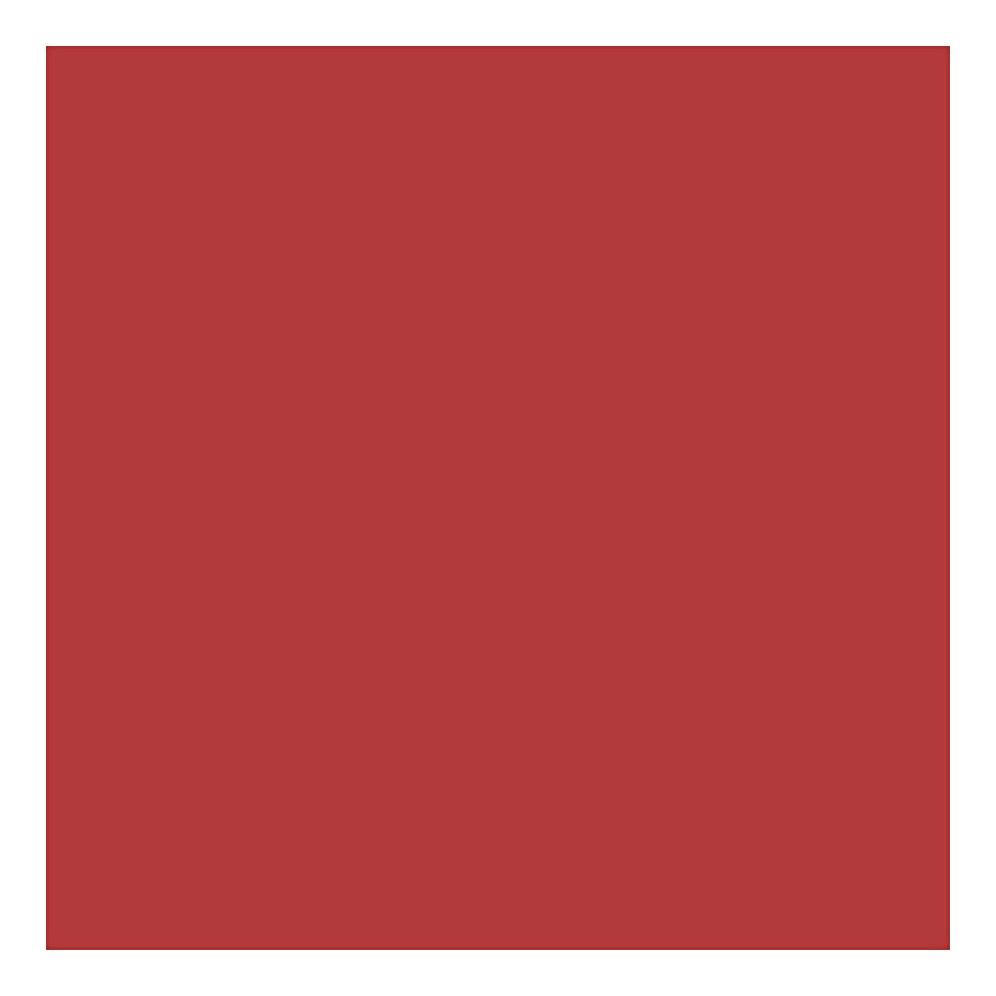 Creativ Company Karton, A4, Blatt 210 x 297 mm, 220 g, rot, 10 Stück, 1 Karton
