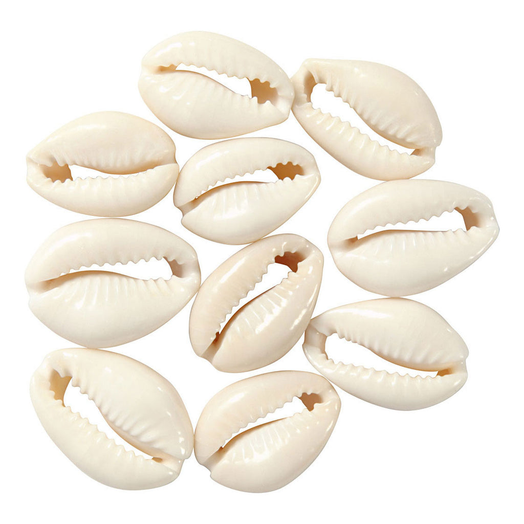 Creativ Company Muscheln weiß, 12 Stück.