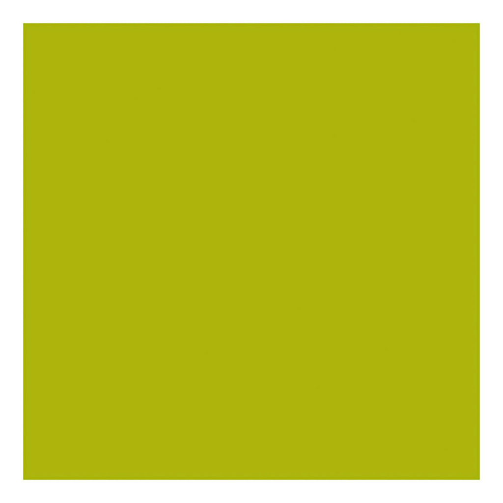 Creativ company https: www.cchobby.nl acrylverf-met-glitters-lime-groen-500-ml-1-fles