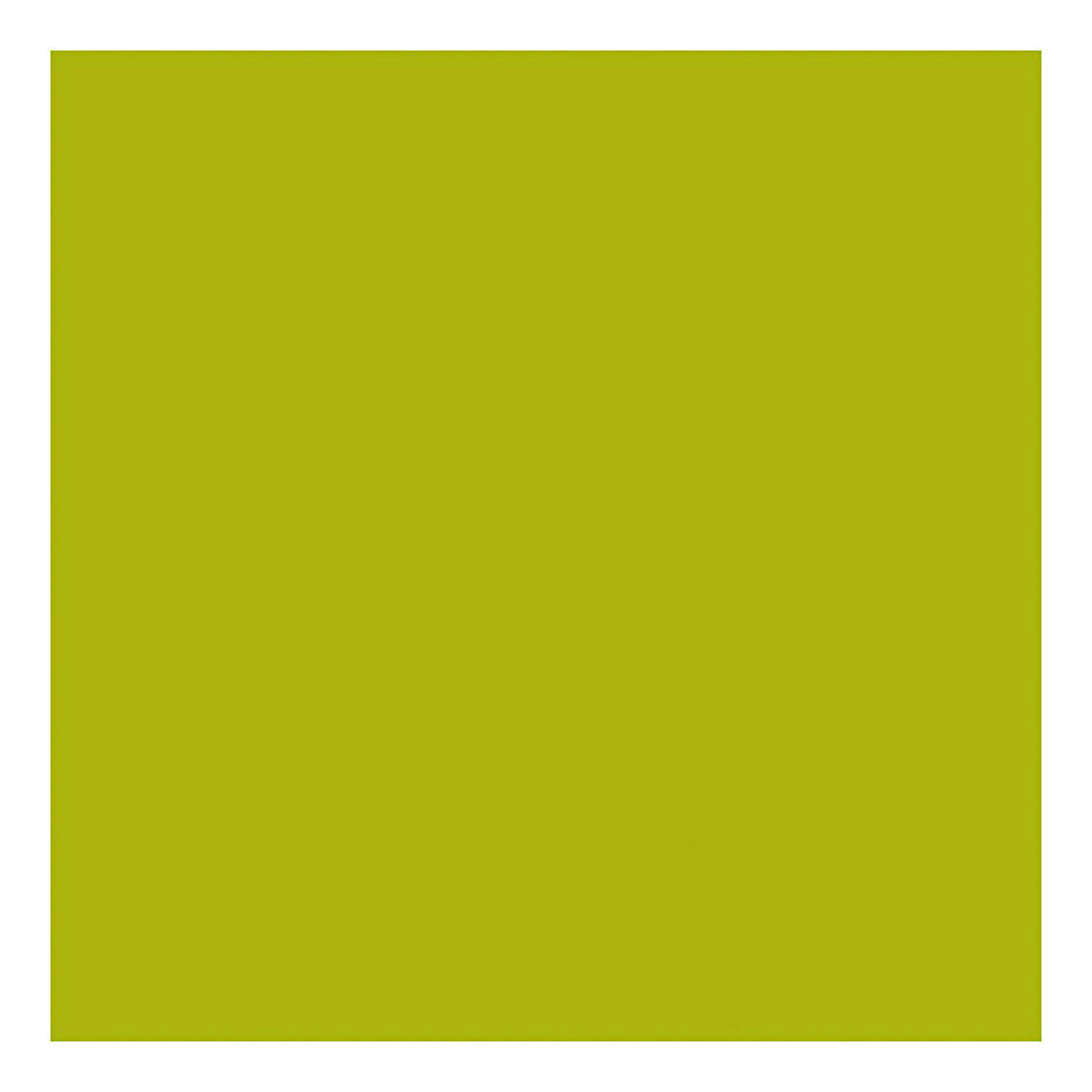 Creativ company https: www.cchobby.nl acrylverf-met-glitters-lime-groen-500-ml-1-fles