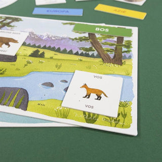 Jumbo – Ich lerne, Tiere zu entdecken (Lernspiel)