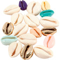 Creativ company https: www.cchobby.nl schelpen-l-20-mm-diverse-kleuren-75-stuk-1-doos