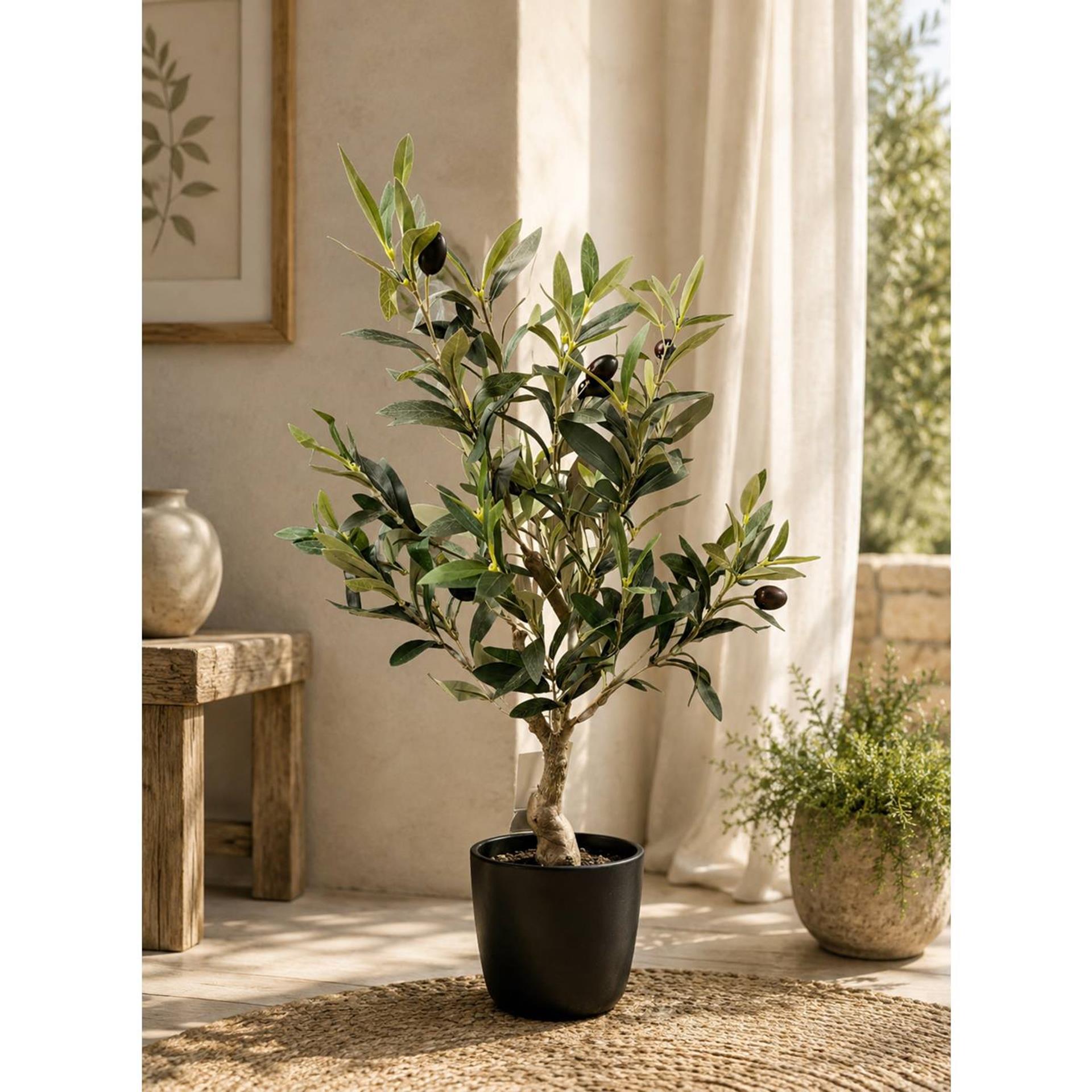 Deco olijfboom 60cm in pot