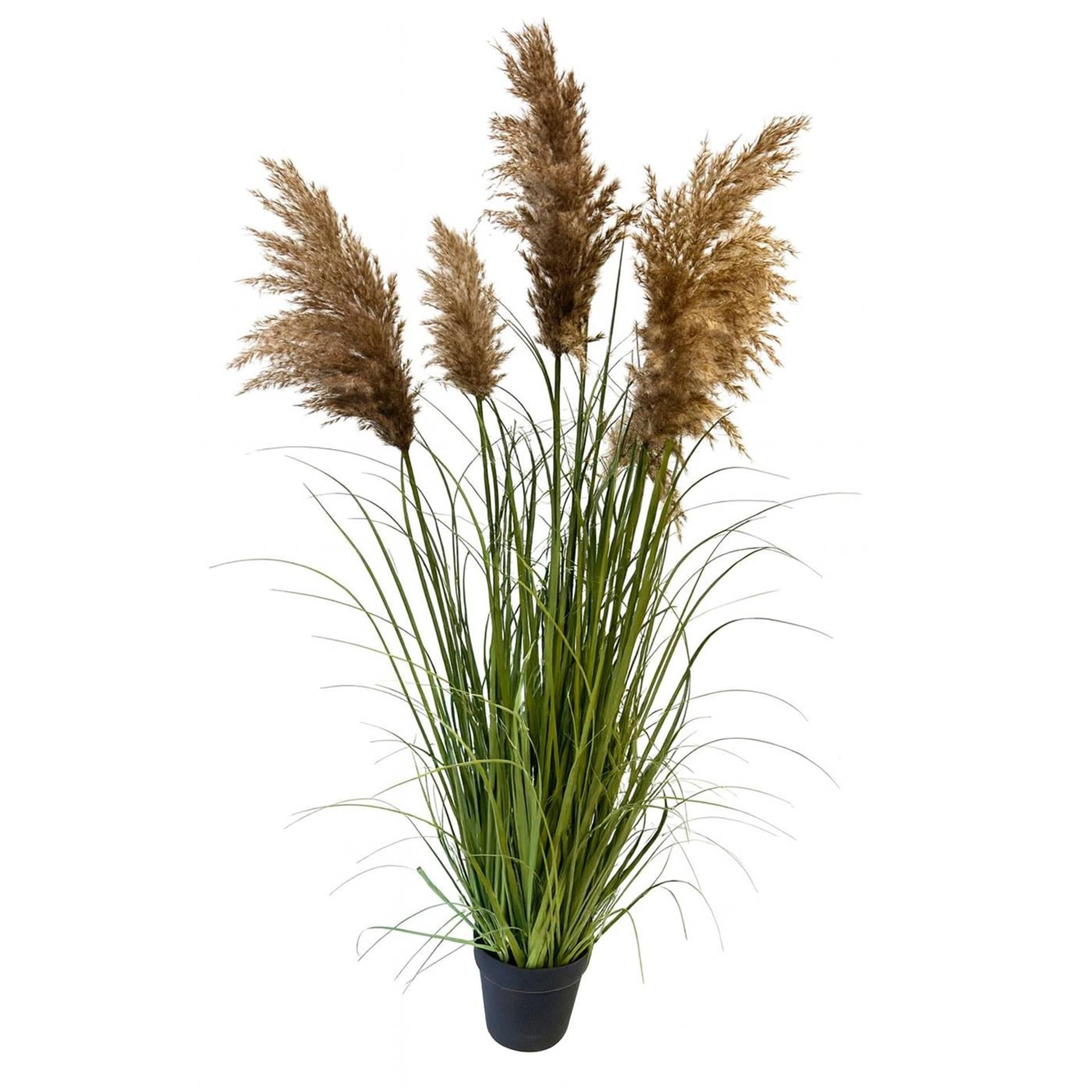 Deco plant met pampasgras 120cm in pot