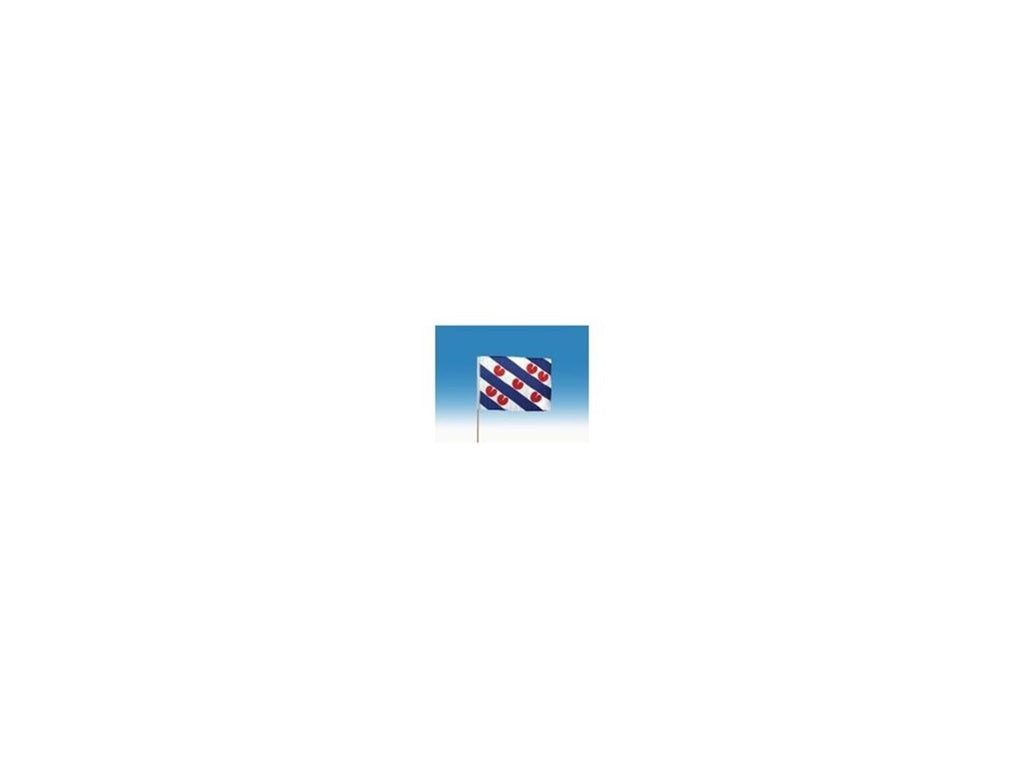 Zwaaivlag fryslan groot 50x70cm + stok