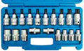 Sw stahl dopsleutel set profi-torx inserts 16-part