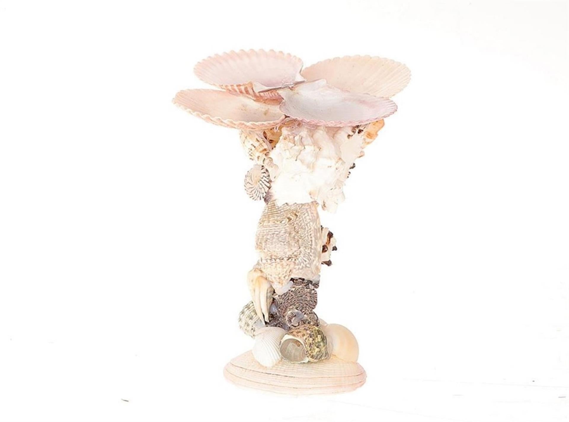 Hbx natural living kandelaar schelp gallery h16cm