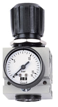 Schneider airsystems druckregler dm pressure reducer 0.5-10 1 r 1 4 reversible